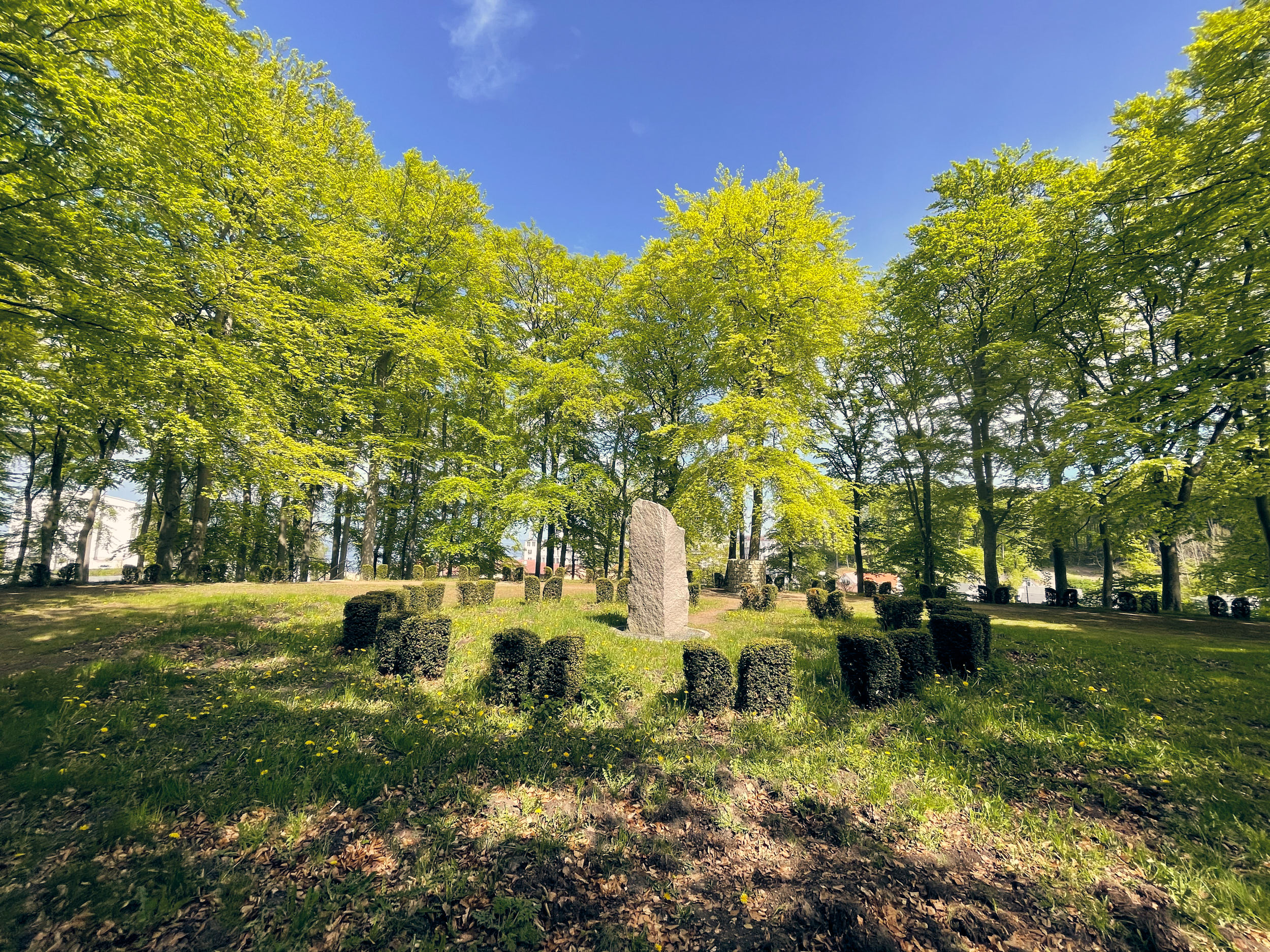 Kurpark Friedensberg - Ostseebad Sellin